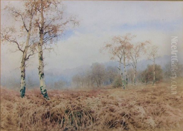 Heathland View - view 1