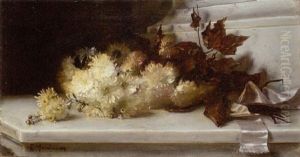 Stilleben Mit Chrysanthemen Und Schmetterling
