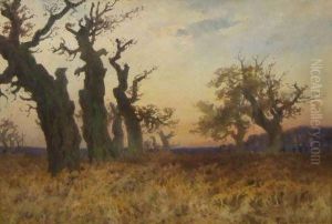 Oak Trees And Bracken In Winter by Paul Bertram