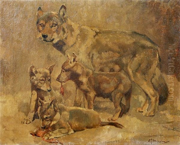 Wolf Met Welpen - view 1