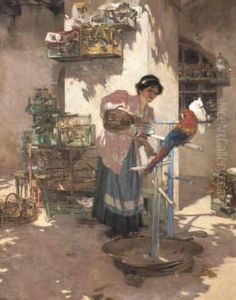 Lady Feeding Birds