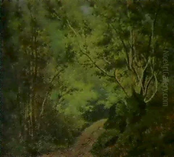 Sentier Dans Le Sous-bois En Foret De Meudon - view 1