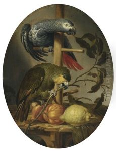 An African Grey And An Orange Winged Amazon Parrot On A Perch With Citrus Fruit by Jacob Frans van der Merck