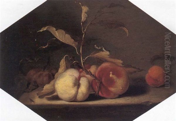 A Still Life Of Peaches, Plums And One Apricot Arranged Upon A Stone Ledge - view 1
