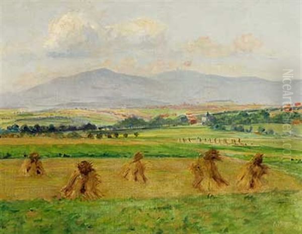 Sommerlicher Blick Von Berkersheim Zum Feldberg - view 1