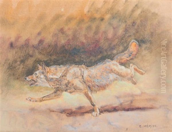 Loup - view 1