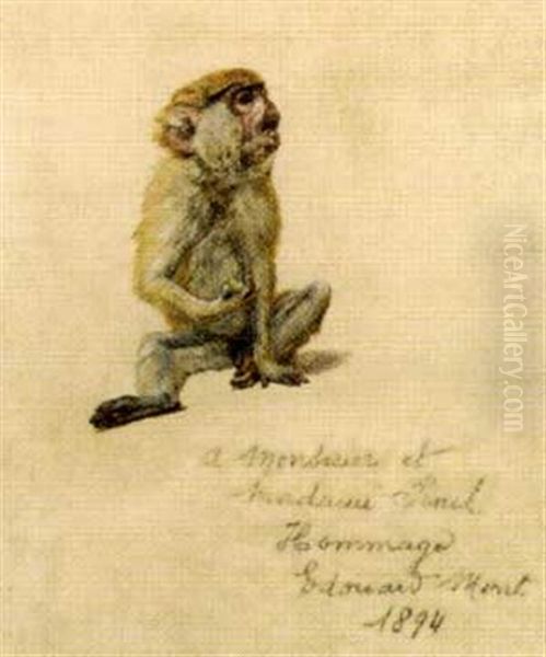 Le Singe - view 1