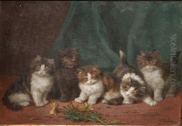 Five Kittens - view 1