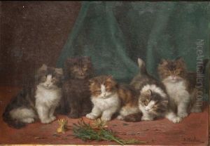 Five Kittens