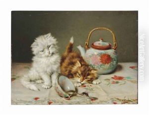 Curious Kittens At Play