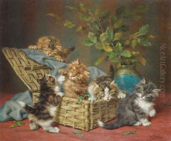 Chatons Jouants - view 1