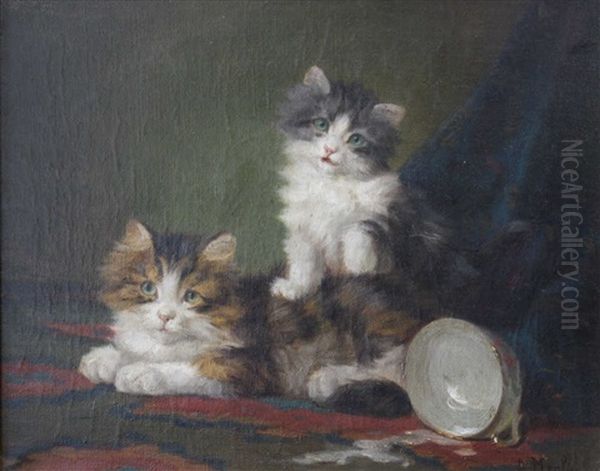 Chatons A L'ecuelle - view 1