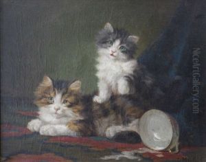 Chatons A L'ecuelle