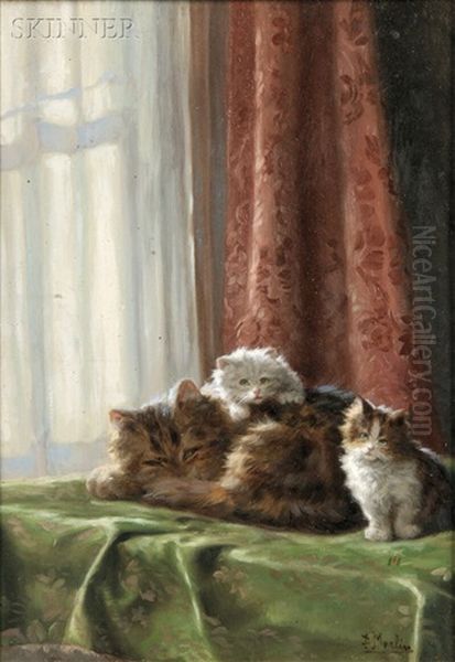 Mother Cat With Kittens - view 1