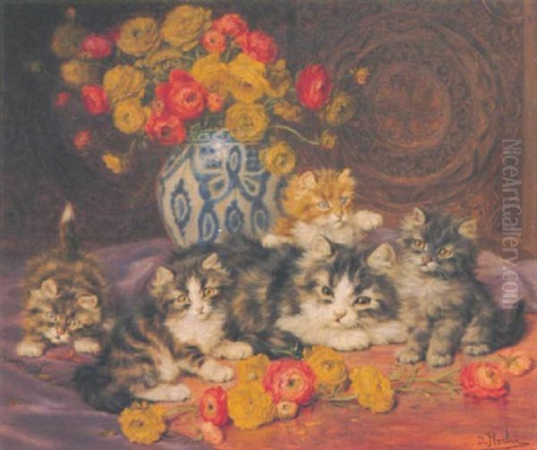 Katzenmutter Mit Ihren Jungen - view 1
