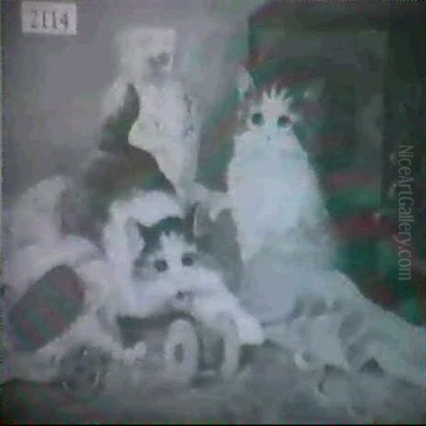 Cats Playing - view 1