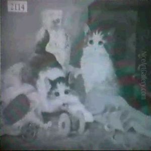 Cats Playing