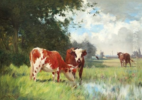 Cattle Grazing - view 1