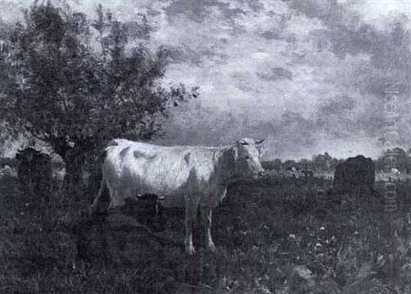 Cattle In A Meadow - view 1