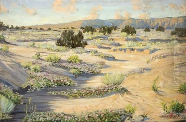 Desert Landscape - view 1