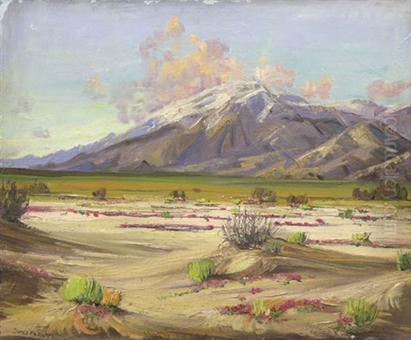 Desert Landscape - view 1