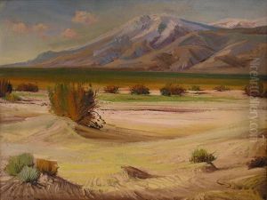 Desert Landscape