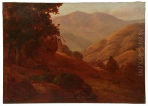 The Berkeley Hills The Berkeley Hills