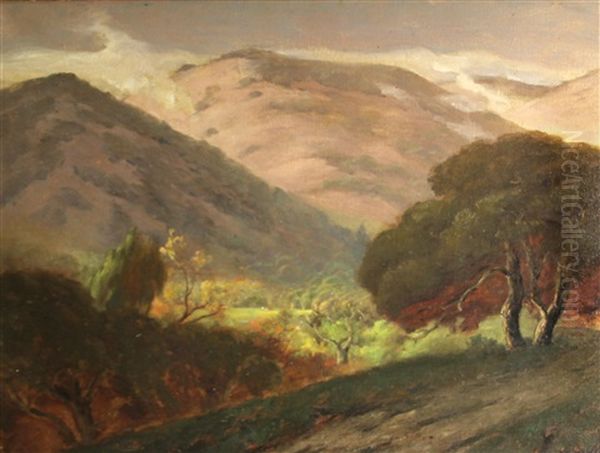 Rolling Hills And Oaks, Marin - view 1