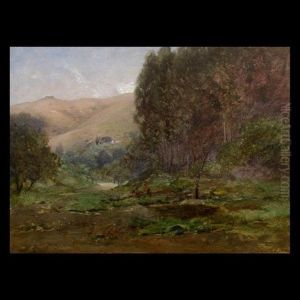 Landscape Landscape