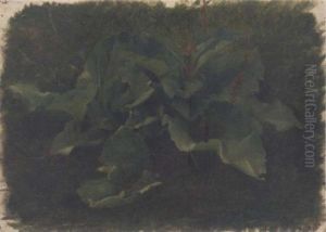 Studies Of Acanthus Leaves Studies Of Acanthus Leaves