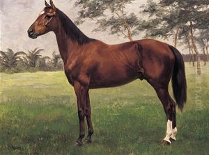 Pferdeportrait Auf Besonnter Lichtung by Oscar Merte