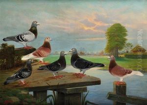 Les Pigeons by Charles Mertens