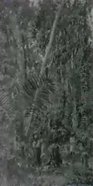 Im Tropenwald - view 1