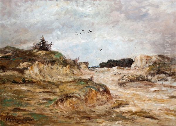 Duinlandschap - view 1