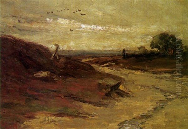 Landschap - view 1