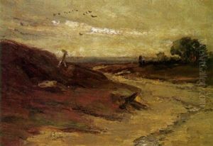 Landschap Landschap
