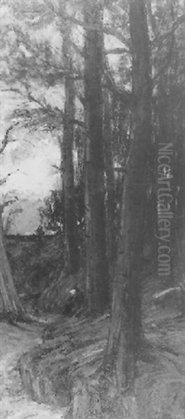 Zittende Vrouw In Het Twickelse Bos - view 1