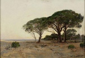Grands Arbres Pres De La Mer by Paulin Bertrand