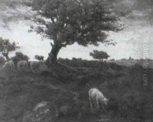 Sheep Grazing At Sunset by Taco Mesdag