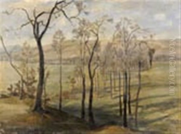 Landschaft - view 1