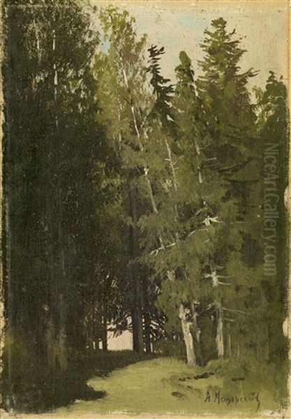 Forest Clearing - view 1