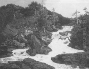 Der Wildbach