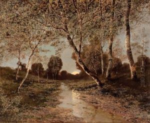 Sonnenuntergang In Von Birken Gesaumter Bachlandschaft