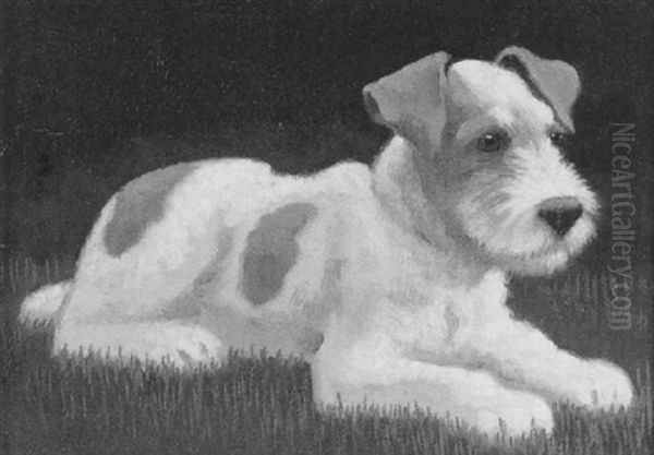Fox-terrier - view 1