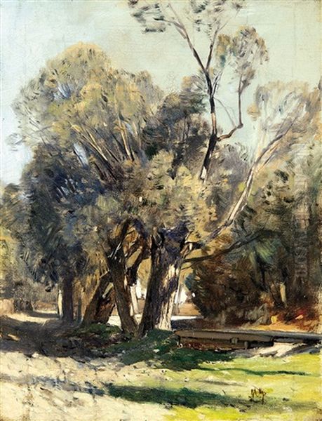 Parkland - view 1
