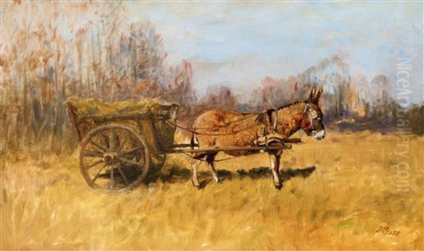 Donkey Carriage - view 1
