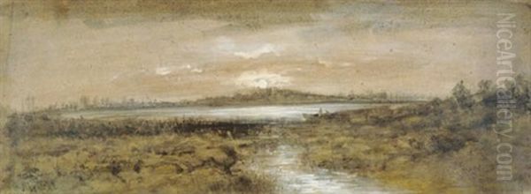 Marshy Landscape - view 1