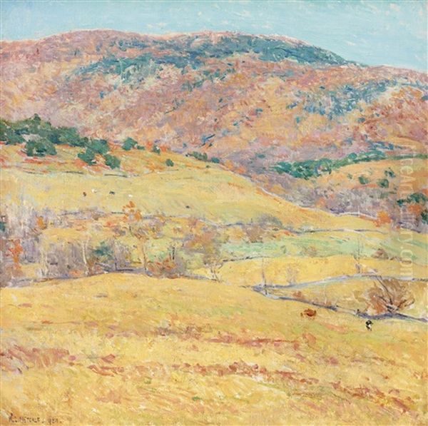 Mountain Pastures - Vermont - view 1