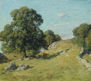 Pasture - Damon's Hill, Old Lyme