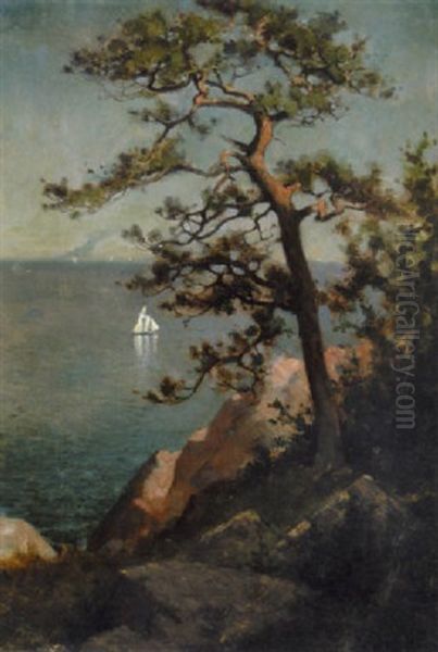 Late Afternoon, Manchester, Massachusetts, 1877 - view 1